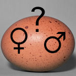 Gender Bending LED Incubator Alters an Egg’s Sex