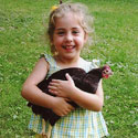 Can I Legally Keep Chickens in My Backyard?