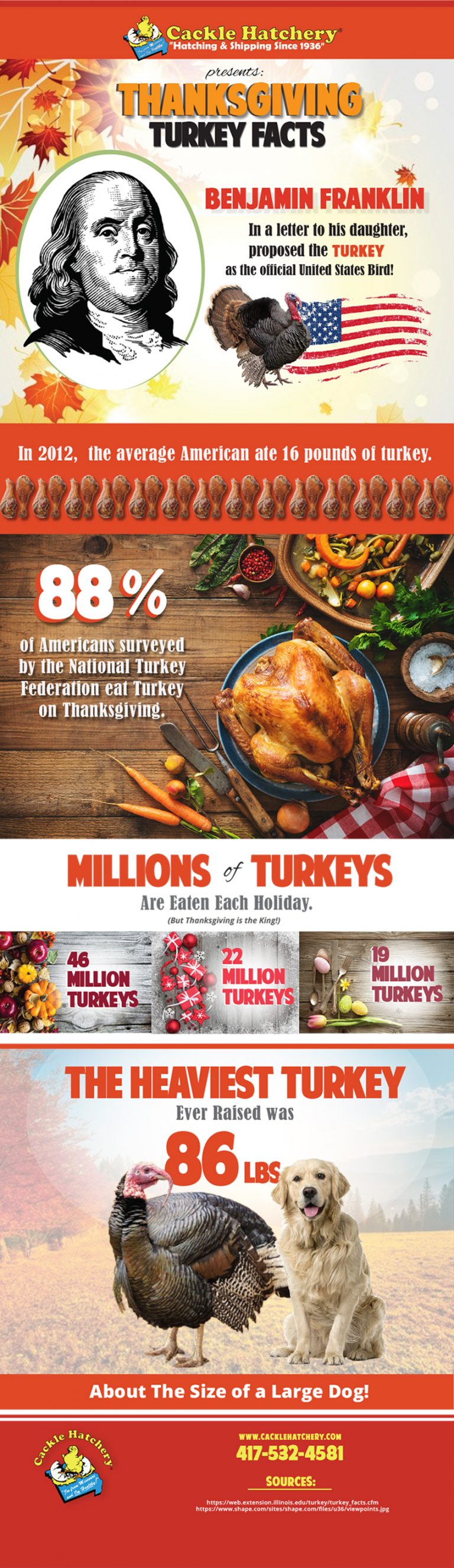 After thanksgiving fun facts