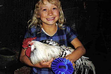 Difference Between Production Chickens and Show Chickens